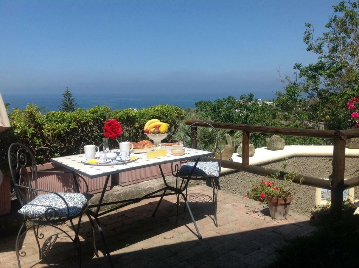 La Terrazzina Sul Tramonto Bed & Breakfast Forio di Ischia Екстериор снимка