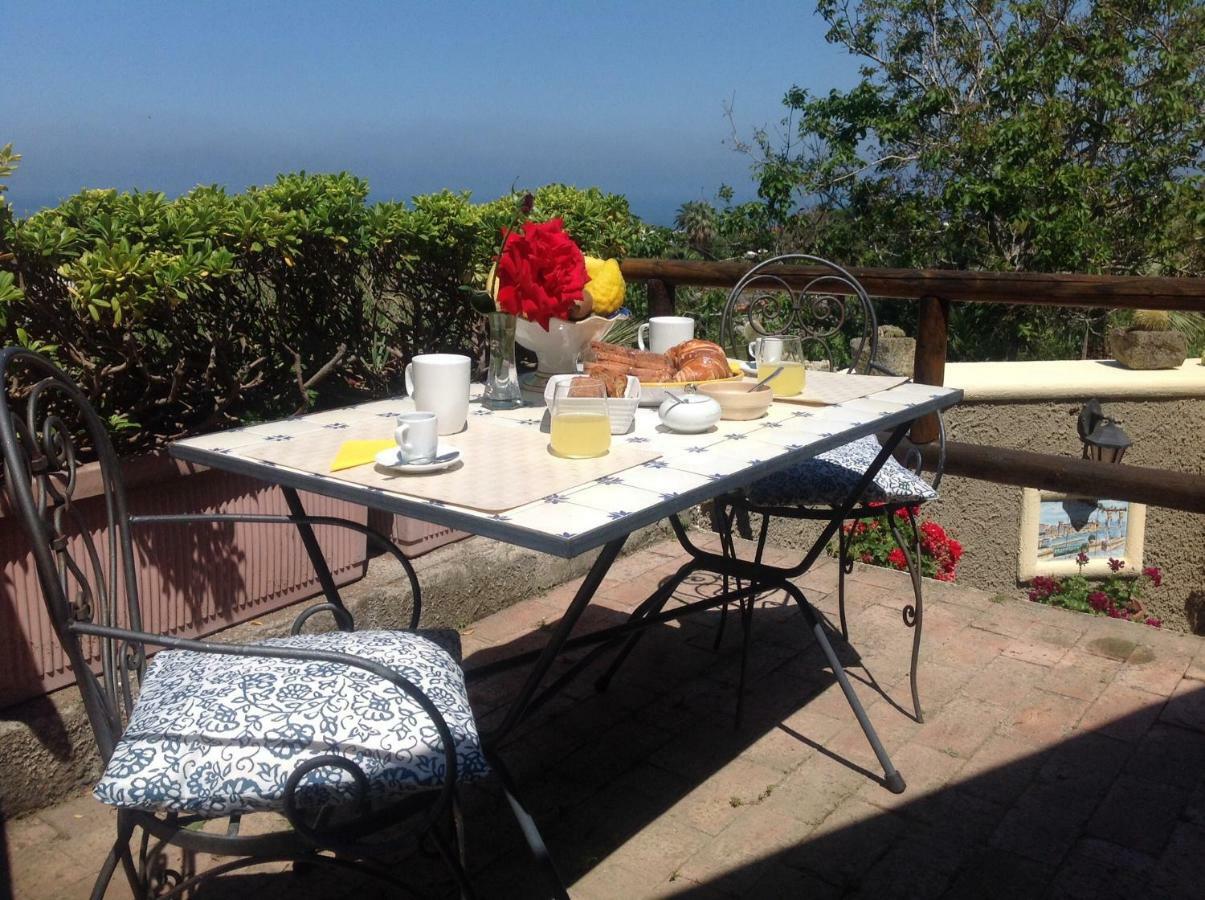 La Terrazzina Sul Tramonto Bed & Breakfast Forio di Ischia Екстериор снимка