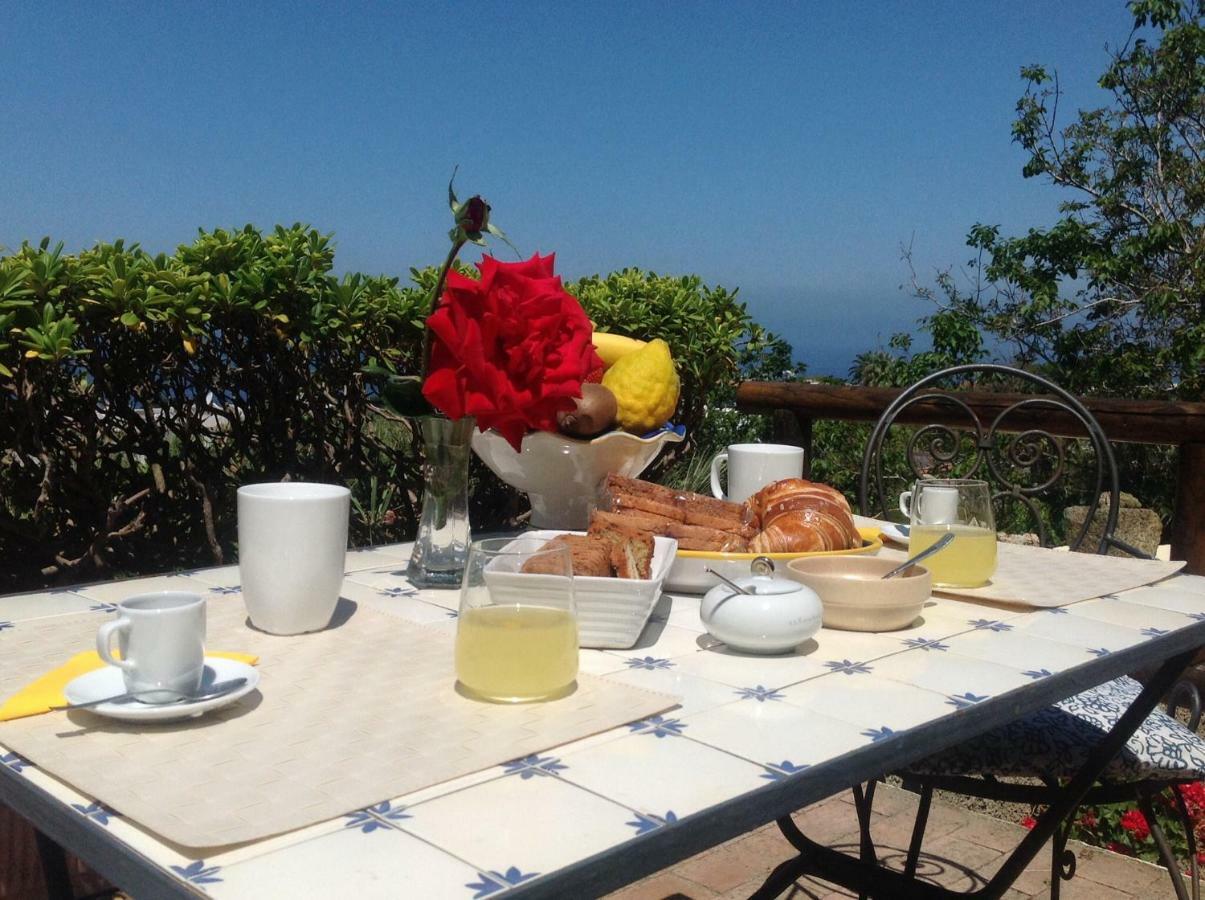 La Terrazzina Sul Tramonto Bed & Breakfast Forio di Ischia Екстериор снимка